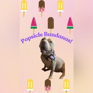 Popsicles Pet Dog Cat Bandana for Boy Girl Unisex Medium Large OSFM!